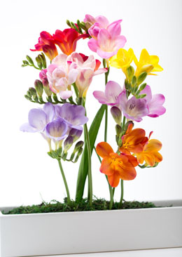 花