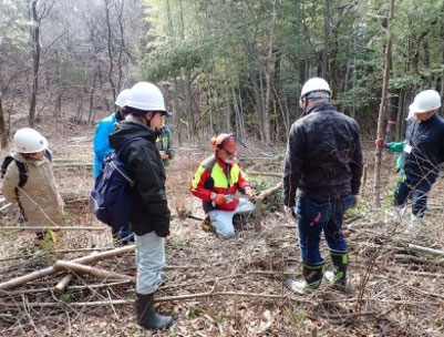 新たな里山再生